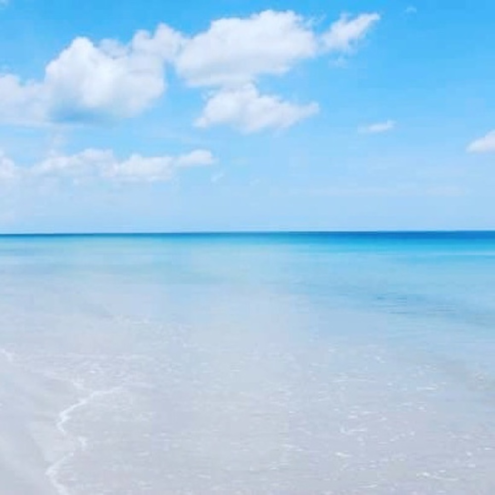 Meet your Posher, Dawn